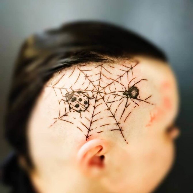 Araignée sur sa tête