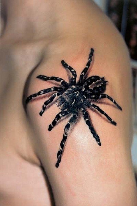Une araignée sur l'épaule d'un homme.
