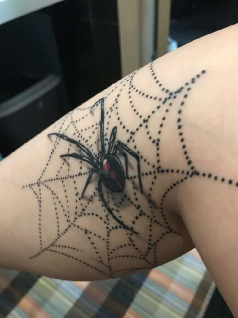 Araignée dans une toile sur sa jambe