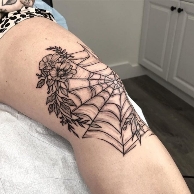 toile d'araignée sur les fleurs
