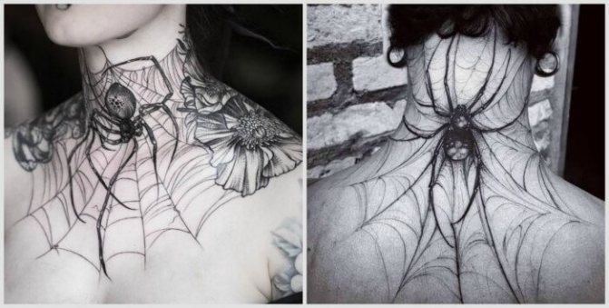 Araignée avec une araignée sur le cou
