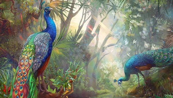 paons dans la jungle