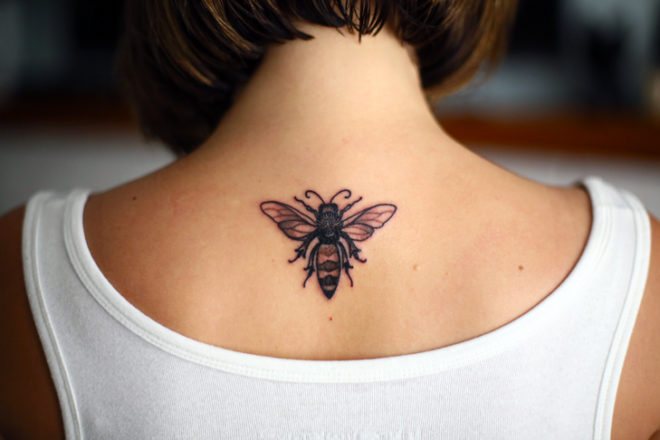 Abeille
