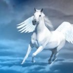 Pégase - quelle est cette créature de la mythologie antique ?