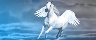 Pégase - quelle est cette créature de la mythologie antique ?