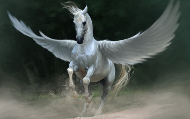 Photos de Pegasus