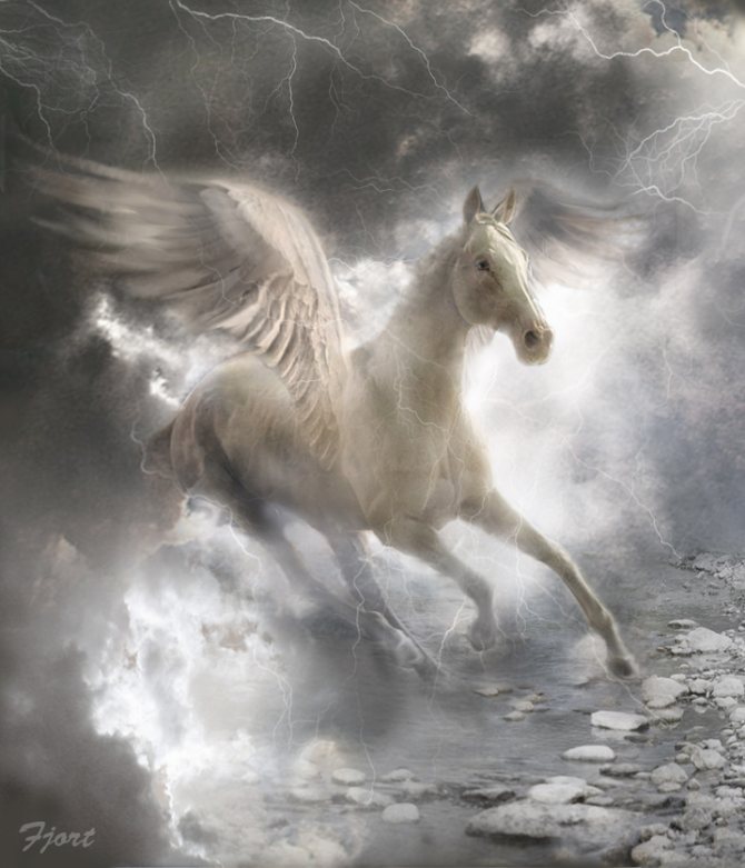 Pegasus