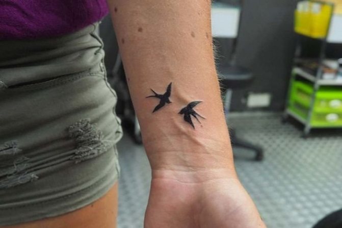 Oiseaux migrateurs
