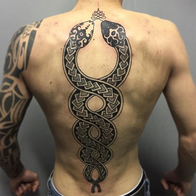 Serpent entrelacé sur le dos