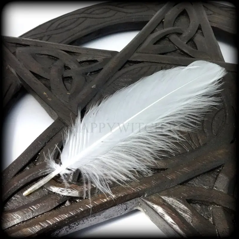 Plume d'oiseau