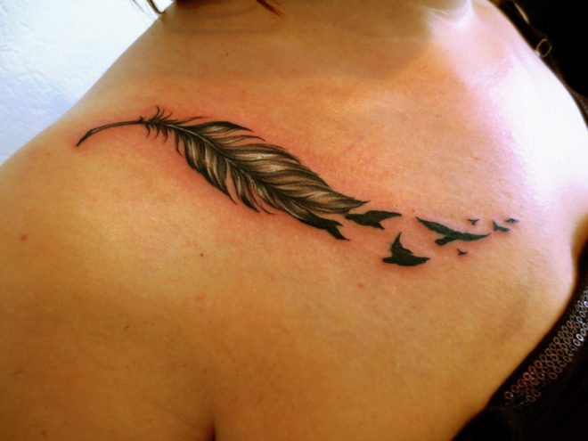 Plume