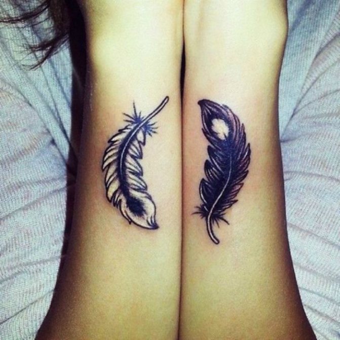 Plumes