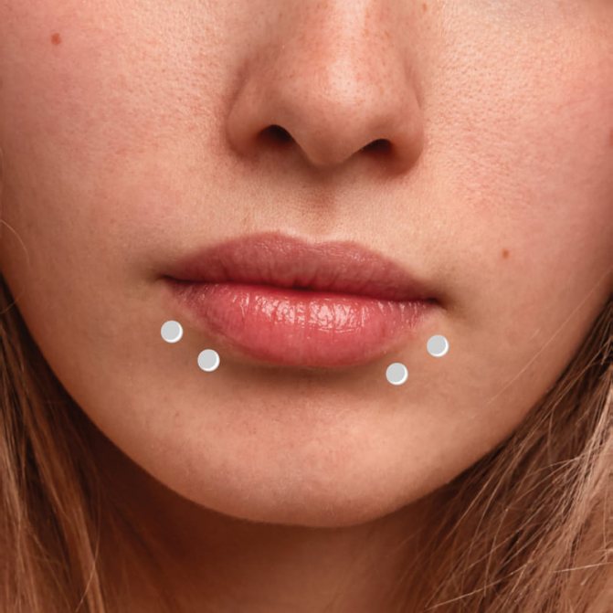 Les piercings de Shark Bites
