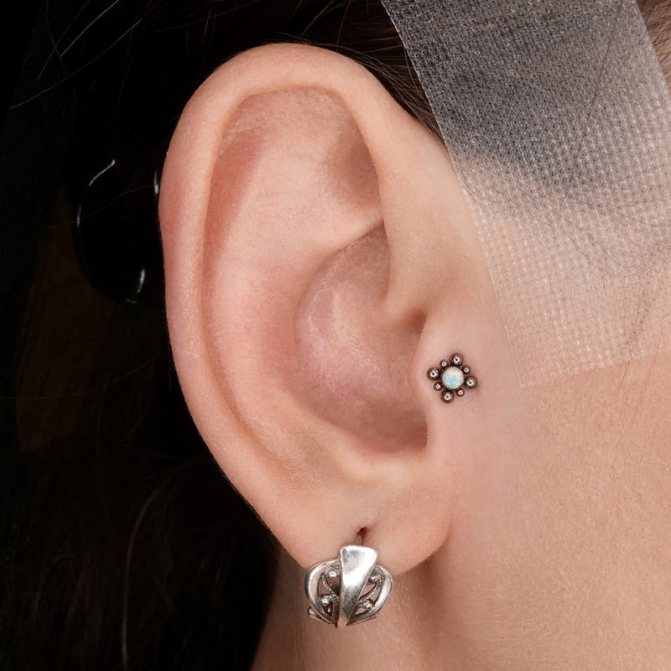perçage du tragus