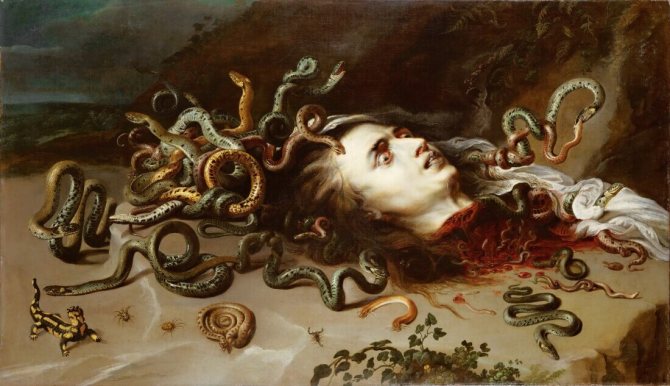 Peter Paul Rubens - Tête de la Méduse
