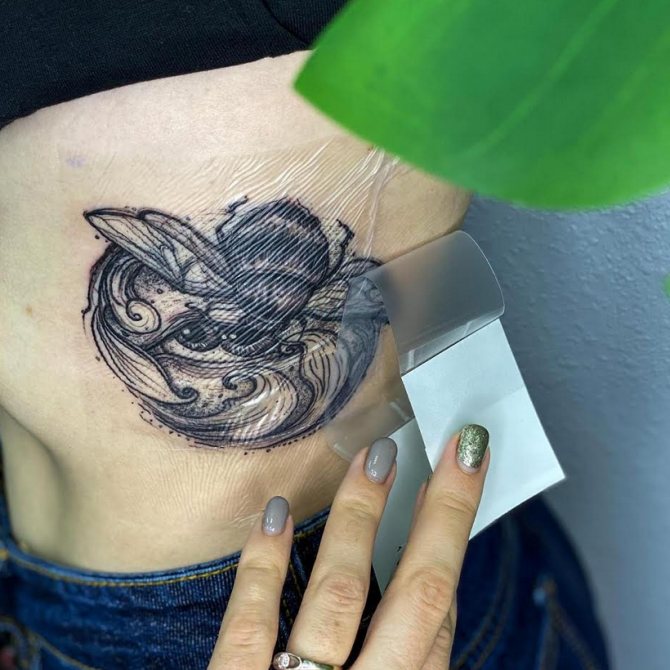 Feuille de guérison pour tatouage