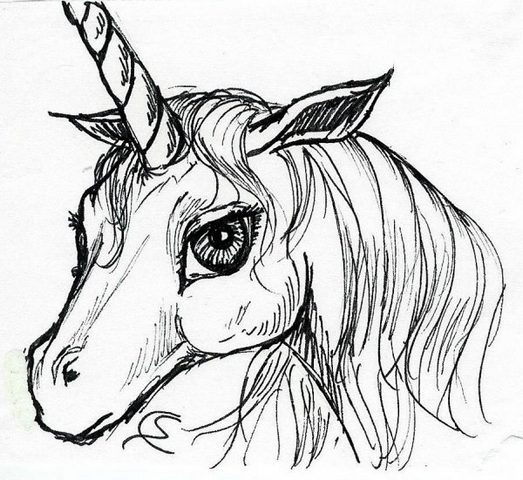 portrait de licorne