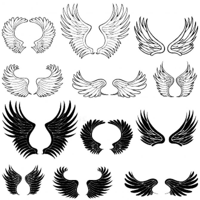 Superbes croquis pour les ailes de tatouage