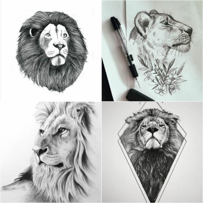 De magnifiques tatouages de lion et de lionne