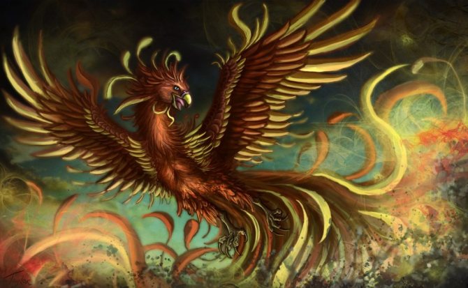 Origine du phénix