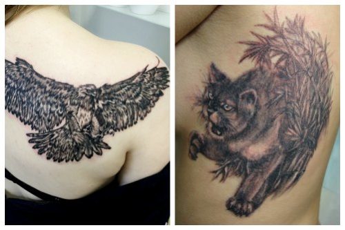 Un oiseau et un chat sur le corps d'une femme