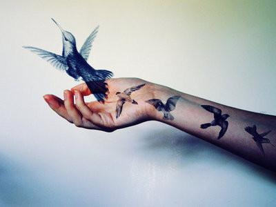 Oiseaux tatoués sur la main