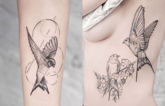 Oiseaux