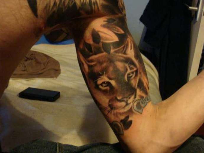 cougar sur le biceps