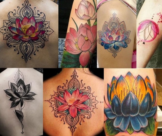 Couleurs de tatouage