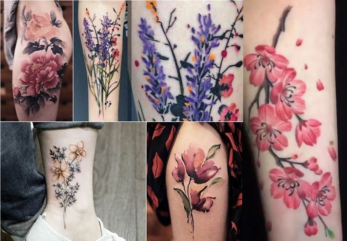 Plantes