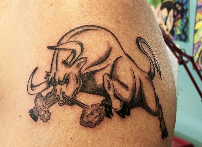 animal furieux
