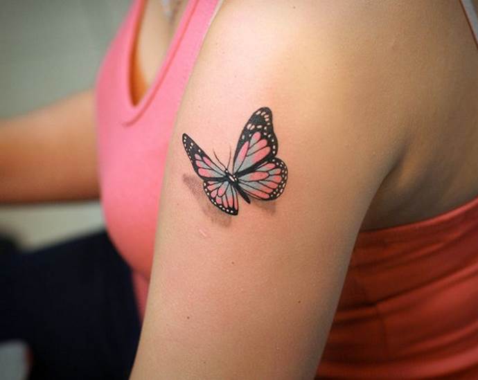 papillon réaliste