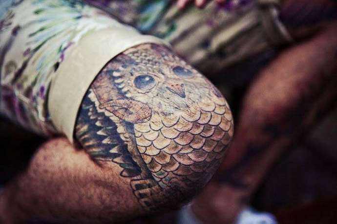 image réaliste d'un hibou