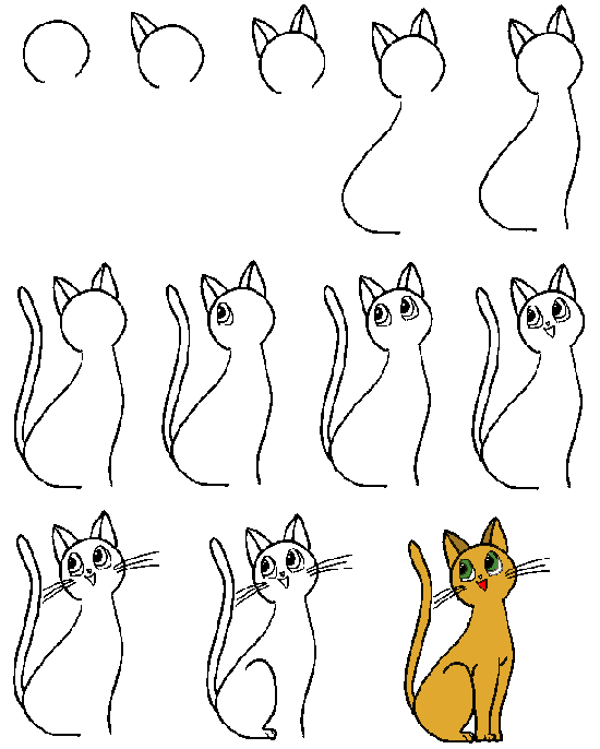 Dessiner un chat de bande dessinée