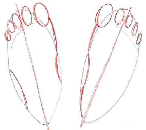Dessiner deux pieds - Vue de dessus - Étape 4