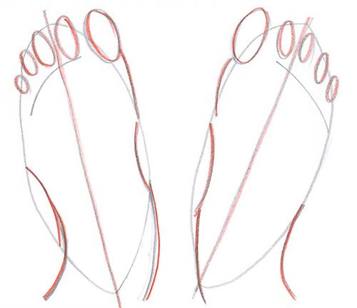 Dessiner deux pieds - Vue de dessus - Étape 5