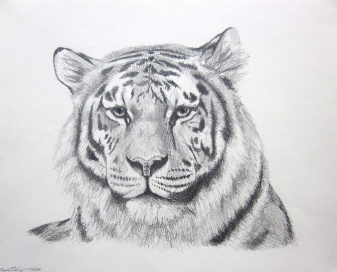 Dessins pour colorier le symbole de 2022 - Tigre