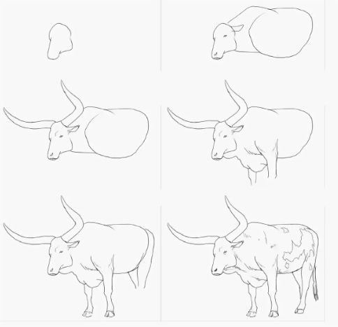 Dessin de buffle