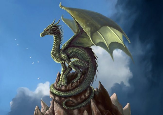 Image de dragon