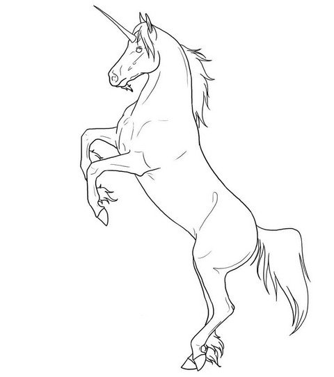 dessin d'une licorne