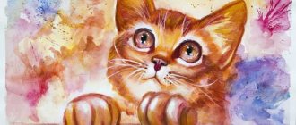 peindre un chaton