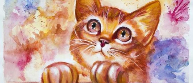 Peindre un chaton