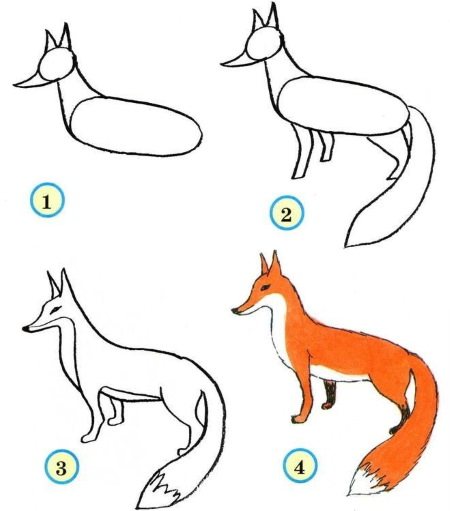Dessin d'un renard au crayon pour les enfants : croquis étape par étape à partir d'un conte de fées, d'une fable, de formes géométriques, de symboles.