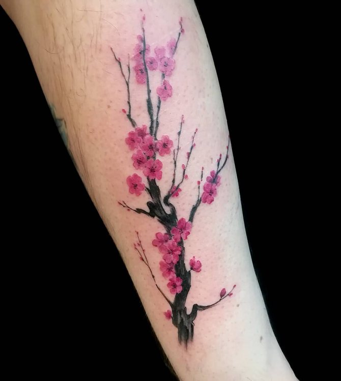 Tatouage d'un jeune cerisier sur la main