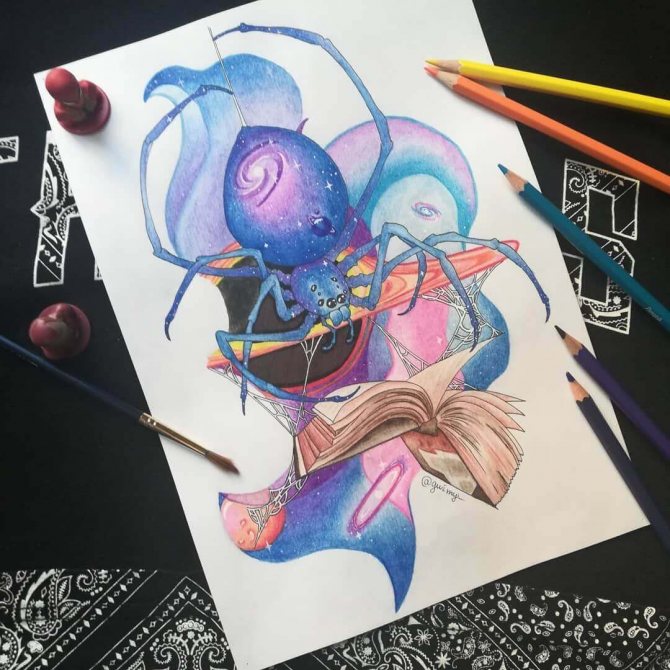 Dessin d'une araignée avec un livre