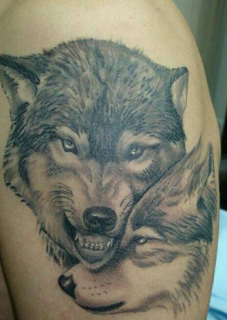 Photo avec deux loups