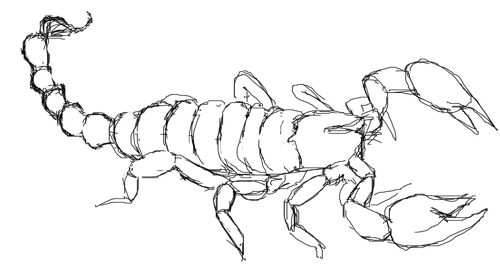 Dessin Scorpion