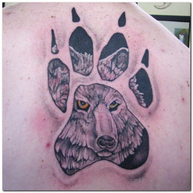 image d'un animal