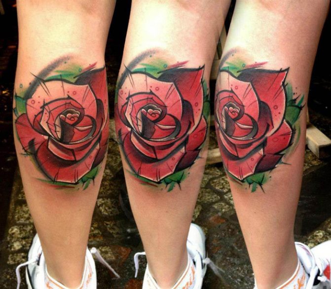Rose