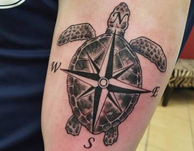 La main de Sailor. Image de la tortue